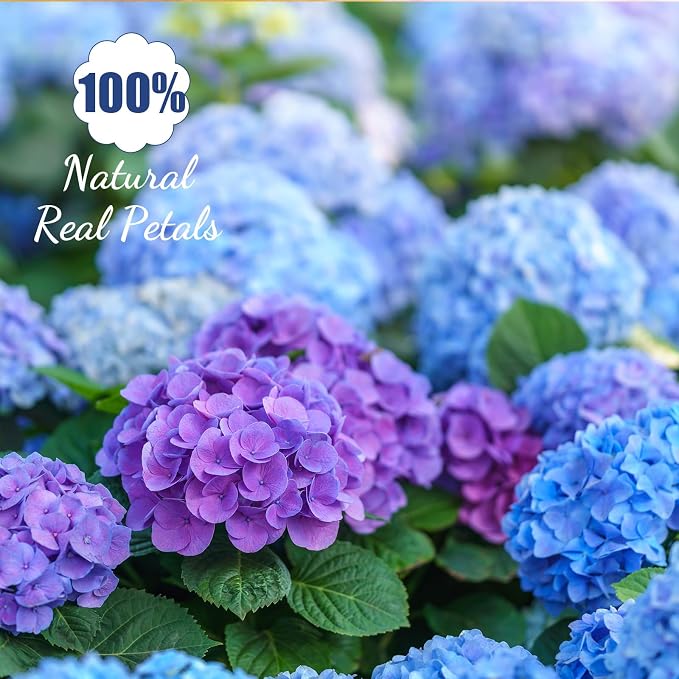 96 Pcs Natural Dried Pressed Edible Flowers for Cake Topper Decorating Cupcake Toppers Cocktails Resin Jewelry Making DIY Art Crafts(Blue,Flower Style)