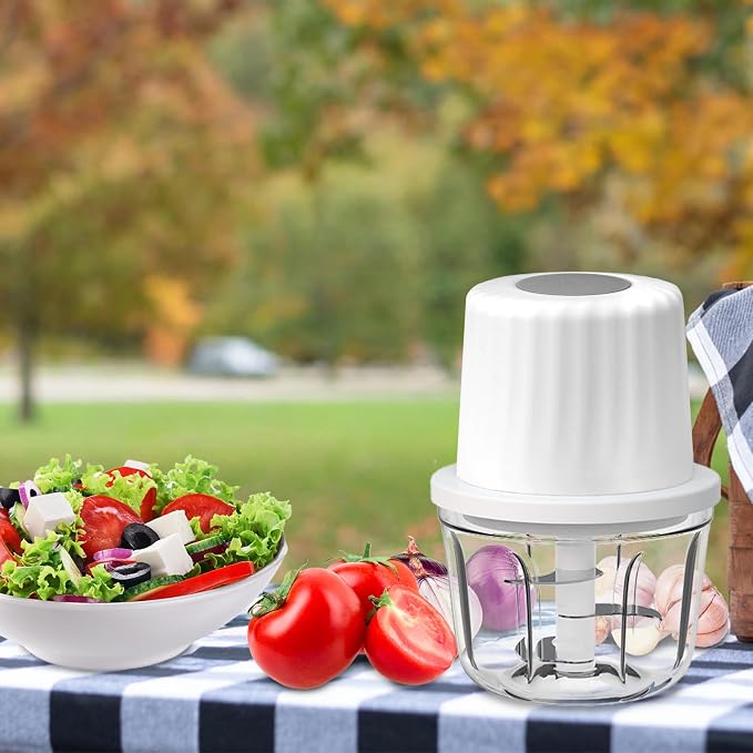 Mini Electric Garlic Chopper 300ML GLASS Food Processor Cordless | Type-C Rechargeable Mincer for Vegetables Puree, Stainless Steel Blades, BPA Free, with Scraper Splash Guard Charging Cord