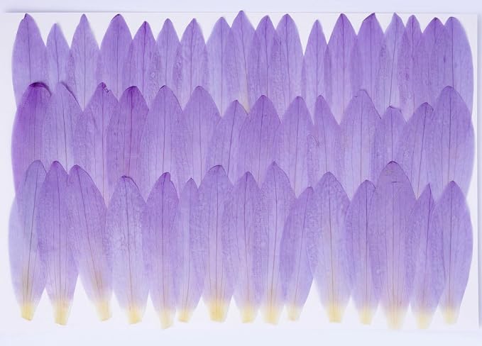 48 Pcs Mix Natural Dried Pressed Water Lily Petals for Cake Decorating, Cocktail Garnish, Resin Jewelry Making, DIY Art Crafts (Water Lily)