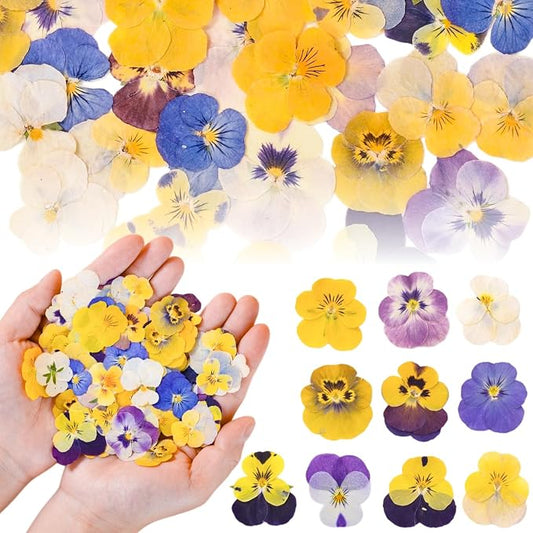 50 Pcs 10 Kinds Natural Dried Pressed Edible Flowers for Cake Topper Decorating - Mix Viola Tricolor for Cupcake Toppers, Cocktails, Resin Jewelry Making, DIY Art Crafts