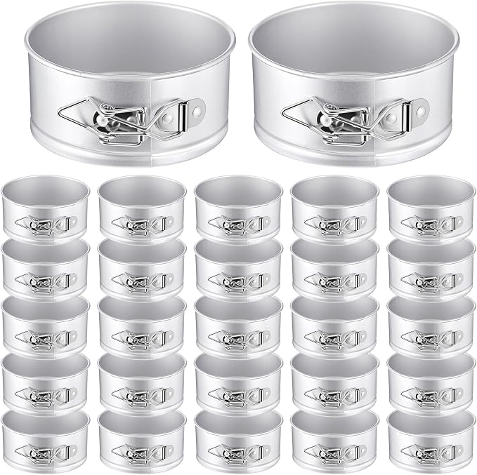Sunnyray 25 Pcs 4 Inch Springform Pan for Baking Mini Cheesecake Pans with Removable Bottom Nonstick Leakproof Round Cake Mold Spring Form Molds for Mini Cheesecake Pizza and Quiches (Silver)