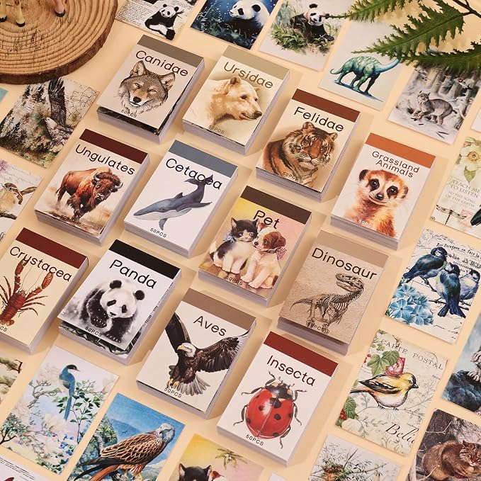 12 Sets 600 Sheets Washi Stickers Book for Journaling, Jungle Animal Sticker, Wild Zoo Sea Animal Aesthetic Scrapbook Dinosaur Sticker Set for Bullet Journal Card Craft Gift Rewards for Kid Notebook