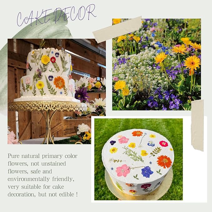 48 Pcs Mix Natural Dried Pressed Flowers for Crafts & Cake Decorating, Real Dry Flower for Cocktails, Resin Jewelry Making, DIY Art Crafts (Muticolor)