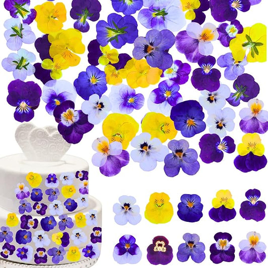PureHabitat 60 Pcs 10 Colors Natural Dried Pressed Edible Viola Tricolor Flowers for Cake Topper Decoration – for Cupcake Toppers Cocktails Resin Jewelry DIY Crafts (Purple)