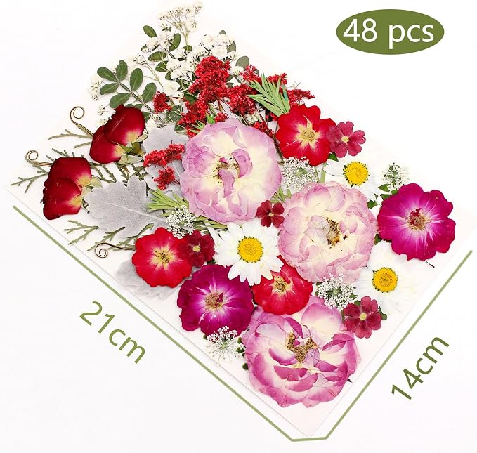 48 Pcs Mix Natural Dried Pressed Flowers for Cake Decorating, Real Dry Flower for Resin Jewelry Making, DIY Art Crafts (Rose)