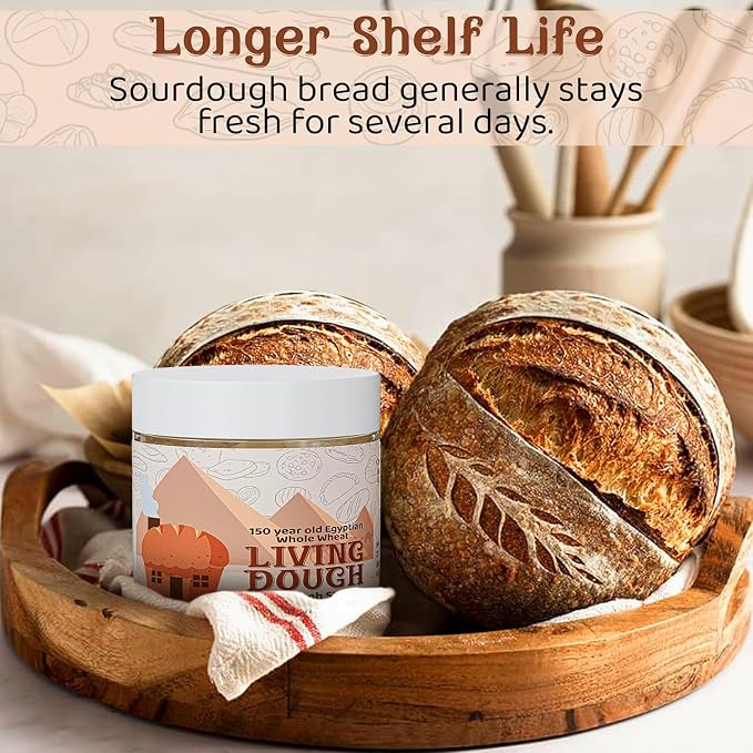 Living Dough - 150 Year Old Egyptian Whole Wheat Sourdough Starter Culture - Active & Live Organic Sourdough Starter for Baking - For Artisan Bread, Pizza Dough, Waffles & More