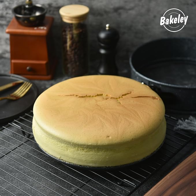 Springform Pan, 10-Inch Nonstick Cheesecake Pan with Removable Bottom Round Baking Cake Pie Mold for Oven 10" x 10" (Black with White Point)