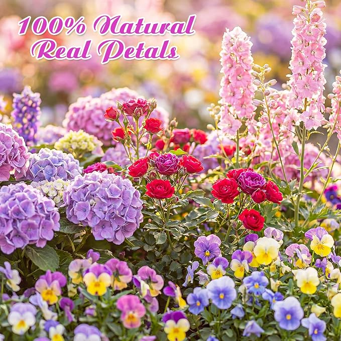 96 Pcs Natural Dried Pressed Edible Flowers for Cake Topper Decorating Cupcake Toppers Cocktails Resin Jewelry Making DIY Art Crafts