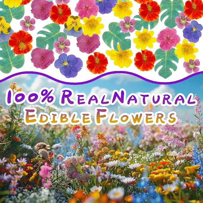60 PCS Real Edible Flower Tropical Cupcakes Cake Decoration, Hibiscus Flowers Turtle Back Leaves Cartoon Birthday Cake Toppers -Hawaiian Series Theme Wedding, Party, Cocktails