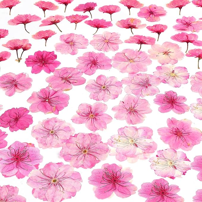 48 Pcs Mix Natural Dried Pressed Cherry Blossoms for Floral Cake Decorating, Cocktail Garnish, Resin Jewelry Making, DIY Art Crafts (Pink Sakura)