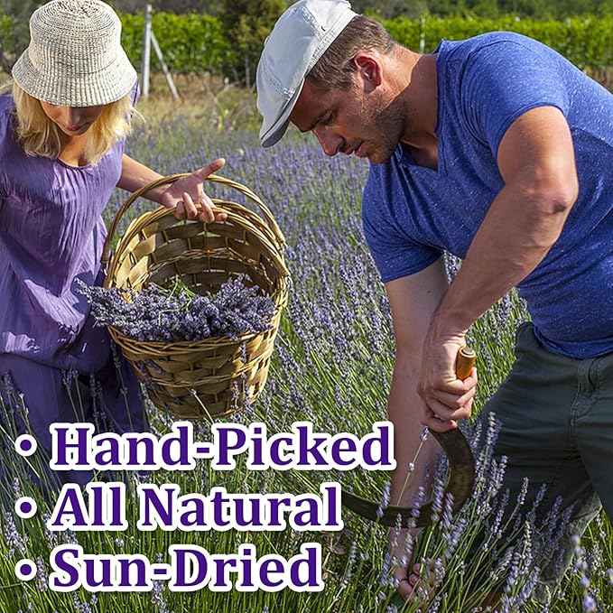 110+ Edible Lavender Sprigs, 4.72" Culinary Lavender Sticks for Tea, Dessert, Cocktails & Food Presentation, 1.06 oz(30g) Dried Botanical Stems in Sealed Pouch for Garnish, DIY Gifts & Visual Plating
