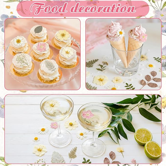 96 Pcs Natural Dried Pressed Flowers for Cake Topper Decorating Cupcake Toppers Cocktails Resin Jewelry Candle Soap Making DIY Art Crafts