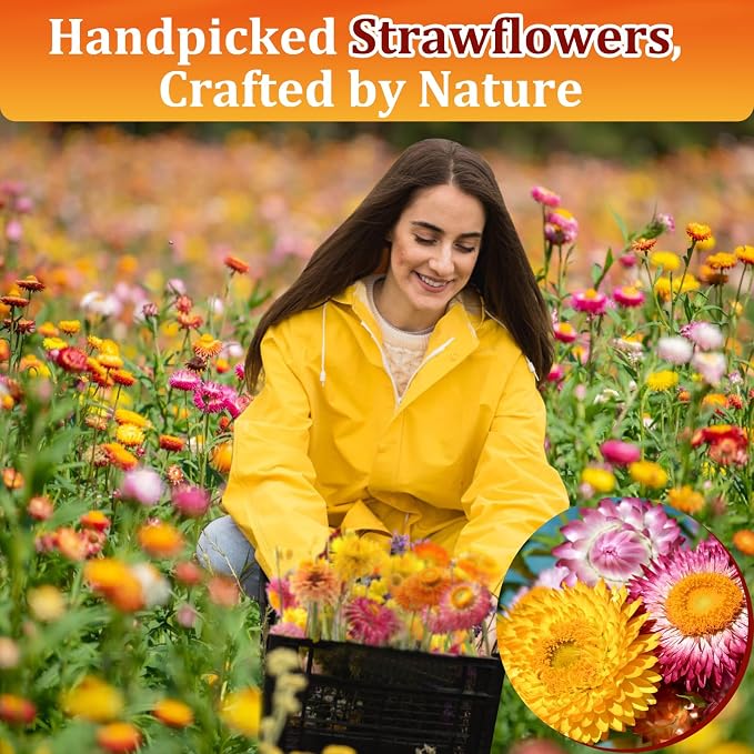 100+ Edible Dried Flowers for Cake Decoration – Food Grade Mixed Colorful Chrysanthemum Flowers for Baking, Cocktails, Cupcakes, Drinks, DIY Crafts