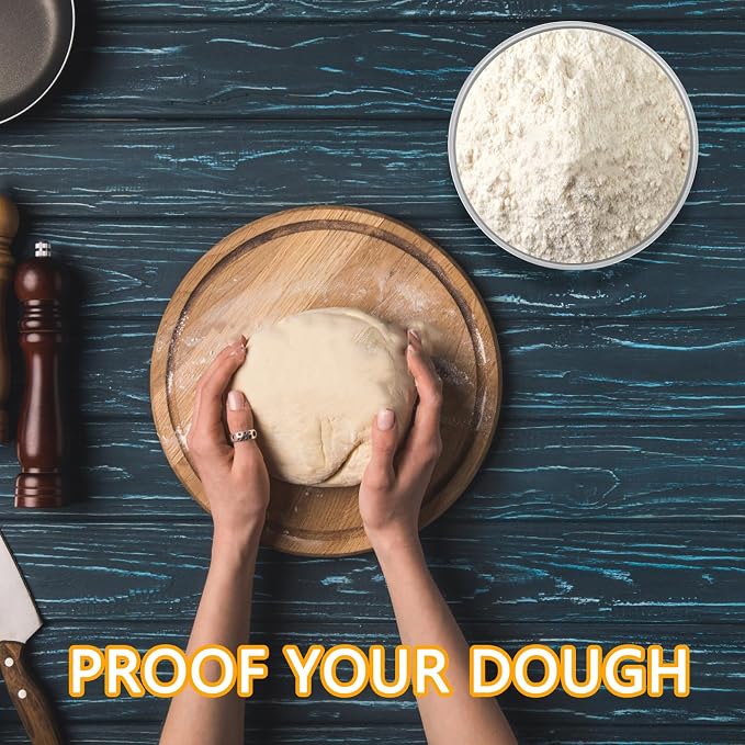 4 Packs Pizza Dough Proofing Box with Lids 5.3x5.3x3.15 Inches Stainless Steel Leak Resistant Containers with Lids Pizza Bread Proofing Box 1000ML
