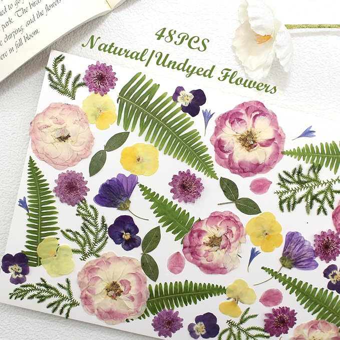 48 Pcs Mix Natural Dried Pressed Flowers for Cake Decorating, Real Dry Flower for Resin Jewelry Making, DIY Art Crafts (Lovely)