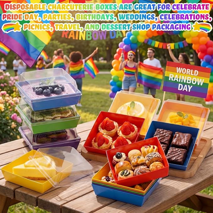 Vesici 48 Pcs 5 Inch Rainbow Small Charcuterie Boxes with Clear Lids Gay Pride Cake Slice Containers Paper Bakery Boxes Disposable Food Containers for Dessert Cookie Sandwich Mini Cake Strawberry