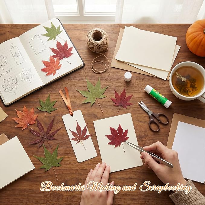 48 Pcs Dried Pressed Fall Maple Leaf for Cake Decorating, Seasonal Decor, Natural Dried Leaves Herbs kit for Resin Jewelry Making Soap and Candle Making (Maple Leaf)