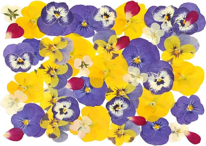 48 Pcs Mix Natural Dried Flowers for Cake Decorating, Real Dry Flower for Resin Jewelry Making, DIY Art Crafts (Pansy)