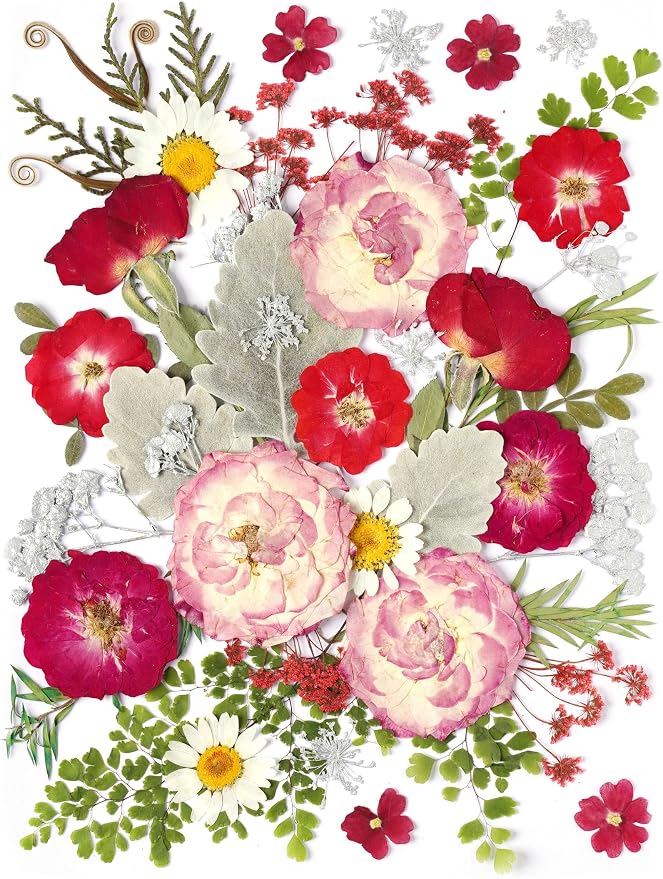 48 Pcs Mix Natural Dried Pressed Flowers for Cake Decorating, Real Dry Flower for Resin Jewelry Making, DIY Art Crafts (Rose)