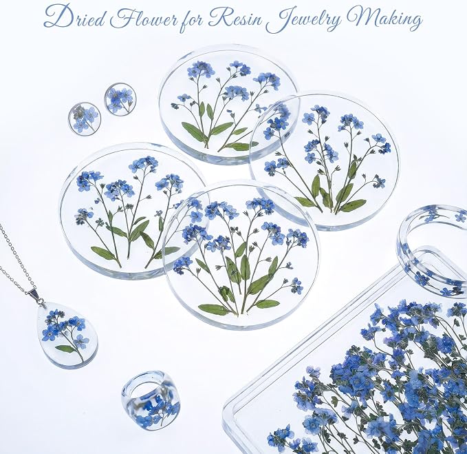 48 Pcs Natural Dried Pressed Forget-me-not Flowers for Wedding Cake Decorating, Real Dry Flower for Resin Jewelry Making, DIY Bookmarks Art Crafts(Forget-me-not)