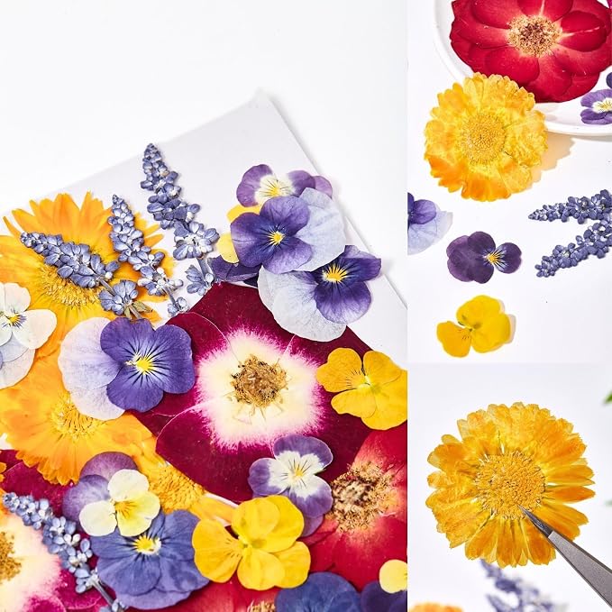 70 Pcs Edible Flowers for Cocktails & Cake Decorating – Real Dried Edible Flowers Cupcake Toppers, Food Grade Edible Pressed Flowers for Drinks, Garnish & Crafts (Pansies, Rose, Calendula, Lavender)