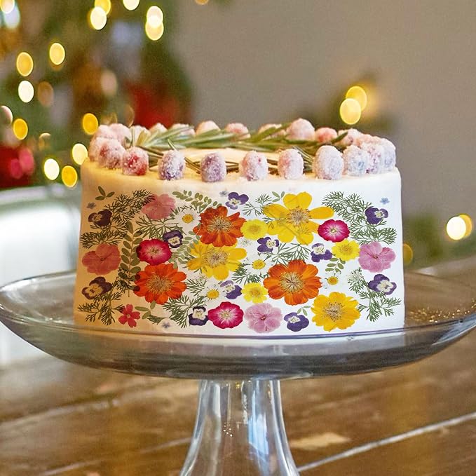 48 Pcs Mix Natural Dried Pressed Flowers for Crafts & Cake Decorating, Real Dry Flower for Cocktails, Resin Jewelry Making, DIY Art Crafts (Muticolor)