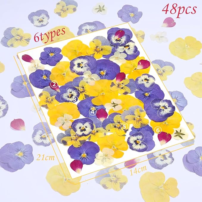 48 Pcs Mix Natural Dried Flowers for Cake Decorating, Real Dry Flower for Resin Jewelry Making, DIY Art Crafts (Pansy)