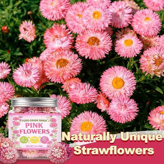 50+ Edible Dried Flowers for Cake Decorations - Food Grade Dried Pink Strawflower Blooms for Cocktail Garnish & Cupcakes, Drink Toppers, DIY Crafts