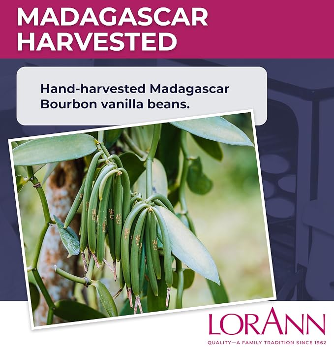 LorAnn Oils Reserve Pure Organic Madagascar Bourbon Vanilla Extract – Real, Organic Vanilla Extract for Baking, Pure Flavor & Bourbon, 16 Ounce
