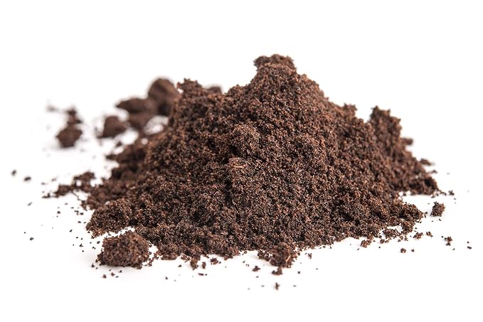 Organic Vanilla Bean Powder - 100% Pure Ground Madagascar Vanilla Powder - For Cooking, Baking, & Additional Flavoring - Add To Coffee, Tea, Yogurt, & Shakes - Raw, Unsweetened, No Fillers or Additives - 8 oz