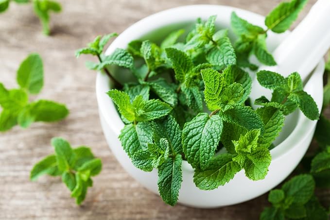 Pure Peppermint Extract for Baking and Flavoring - 4 OZ - Premium Quality Natural Flavors for Baked Goods, Desserts, & Cooking