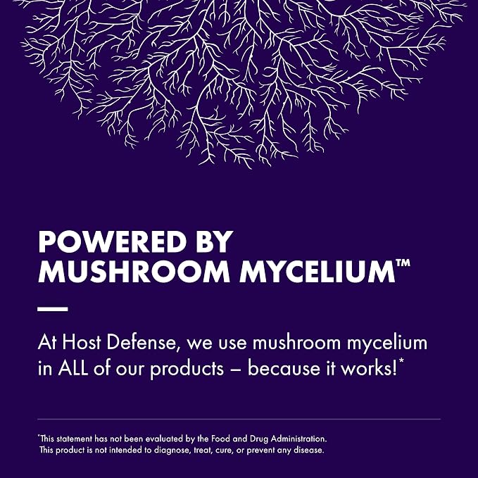Host Defense MycoBrew Cocoa - Cocoa Drink Mix Includes Lion's Mane Mushroom Powder - Superfood Powder Drink Mix with Fair Trade Certified Chocolate - 10 Packets (10 Servings)