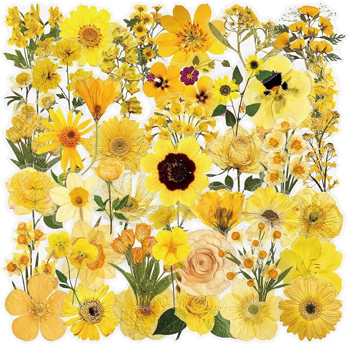 Yellow Chrysanthemum Stickers - 50PCS Vintage Dried Floral Stickers Waterproof PET Aesthetic Decals for Journaling, Scrapbooking, Water Bottles, Laptops, Perfect for Plant Lovers & Craft Enthusiasts