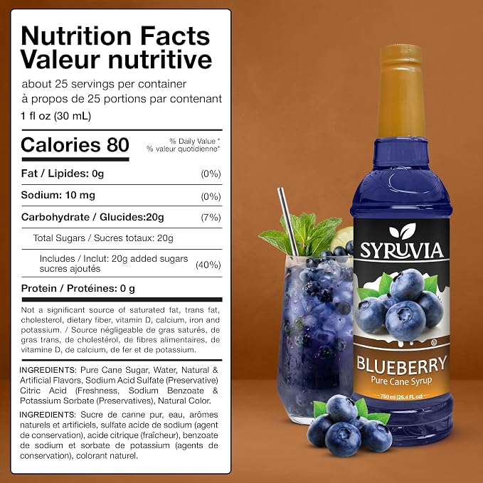 Syruvia Blueberry Syrup, Flavored Syrup for Drinks, Lemonades, Iced Teas, and Desserts – 25.4 fl oz - with Pump