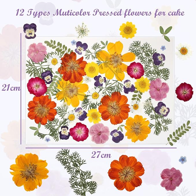48 Pcs Mix Natural Dried Pressed Flowers for Crafts & Cake Decorating, Real Dry Flower for Cocktails, Resin Jewelry Making, DIY Art Crafts (Muticolor)
