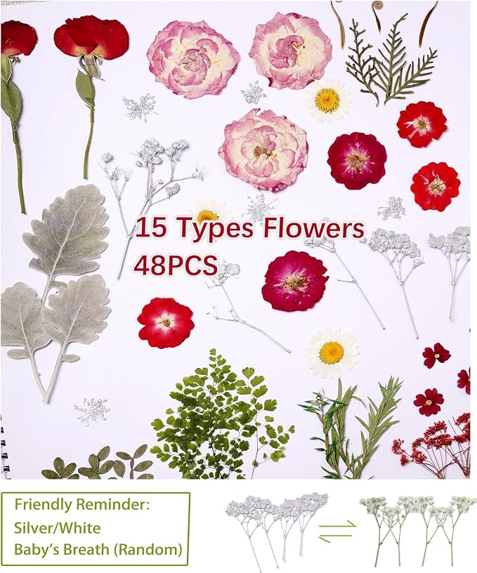 48 Pcs Mix Natural Dried Pressed Flowers for Cake Decorating, Real Dry Flower for Resin Jewelry Making, DIY Art Crafts (Rose)