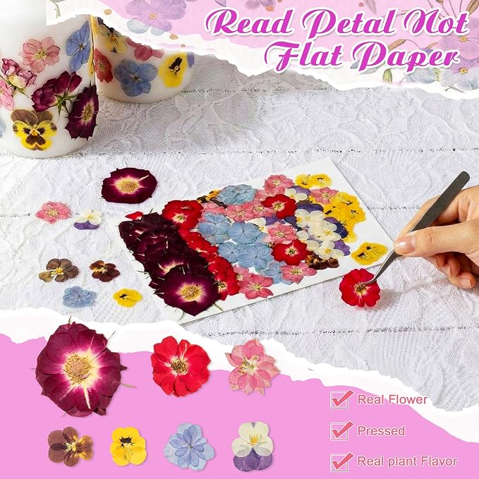 96 Pcs Natural Dried Pressed Edible Flowers for Cake Topper Decorating Cupcake Toppers Cocktails Resin Jewelry Making DIY Art Crafts