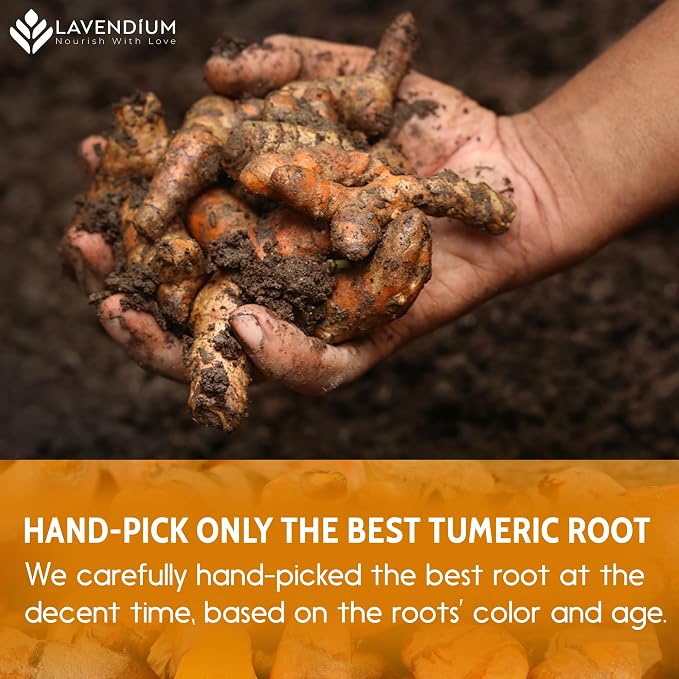 Lavendium, Premium 20oz Turmeric Powder, 100% Natural & Pure Ground Turmeric Root, No Additives or Preservatives, Non-GMO, Plant-Based & Vegan, Perfect for Golden Milk, Curry, Soups & Smoothies