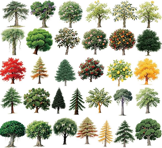 56 pcs Tree Plant Clear PET Stickers, Four Seasons Forest Leaf Palm Transparent Die-Cut Decals, Waterproof Aesthetic Stickers for Journal Scrapbook Planner Nature DIY Craft Decor