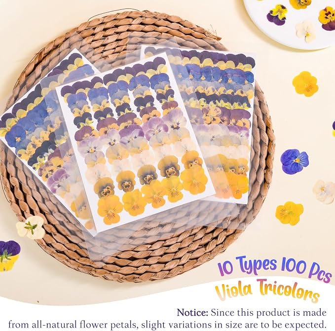 100 Pcs 10 Kinds Natural Dried Pressed Edible Flowers for Cake Topper Decorating - Mix Viola Tricolor for Cupcake Toppers, Cocktails, Resin Jewelry Making, DIY Art Crafts