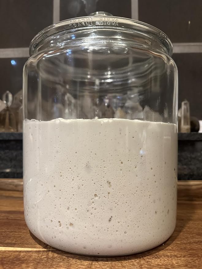 The Yeast We Can Do Dehydrated Sourdough Starter Kit – 3 Pack Active Dry Starter Culture (75g Total) – Fast Activation, Long Shelf Life, Never Lose Your Starter – Easy Bread Baking, No Commercial Yeast, Made in USA