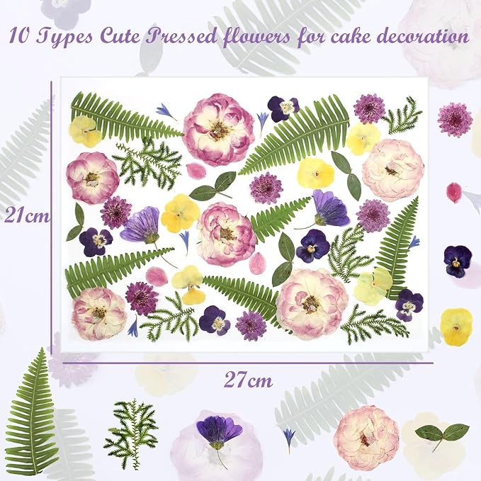 48 Pcs Mix Natural Dried Pressed Flowers for Cake Decorating, Real Dry Flower for Resin Jewelry Making, DIY Art Crafts (Lovely)