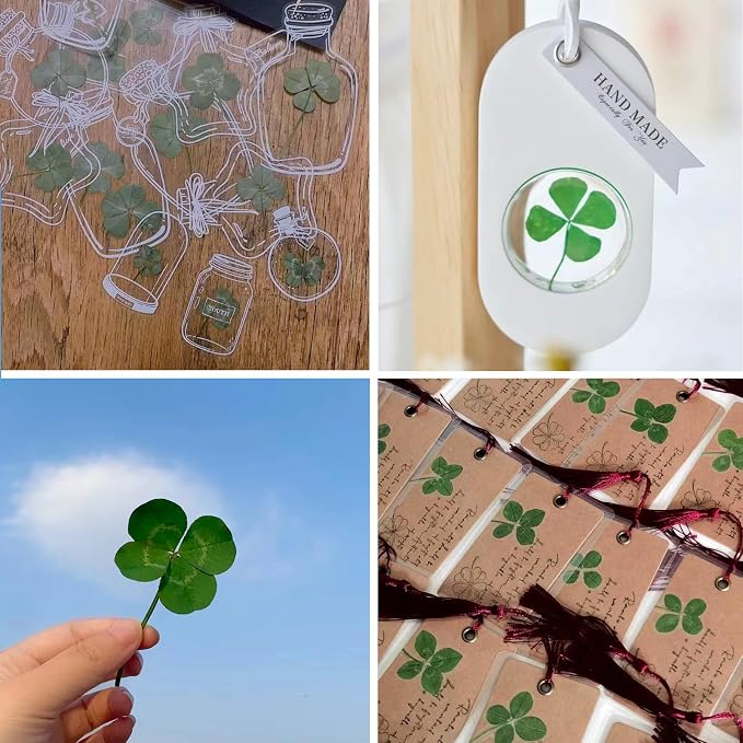 48 Pcs Mix Natural Dried Pressed 4 Leaf Clover for St Patricks Day Cake Decorating, Real Dry Flower for Lucky Jewelry Making (Four Leaf Clover)