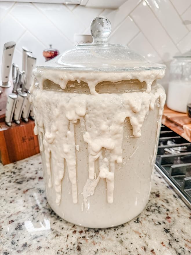 Eve - The Southern Sourdough Co. Dehydrated Sourdough Starter | 10 grams of Beginner Friendly Sour Dough Starter | Easy Fast Activation | Homemade Artisan Bread | Made Popular on TikTok | Made With Organic Flour