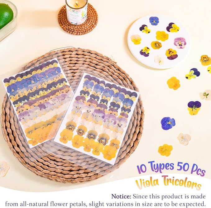 50 Pcs 10 Kinds Natural Dried Pressed Edible Flowers for Cake Topper Decorating - Mix Viola Tricolor for Cupcake Toppers, Cocktails, Resin Jewelry Making, DIY Art Crafts