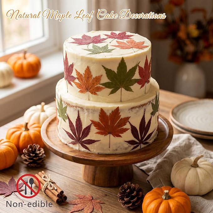 48 Pcs Dried Pressed Fall Maple Leaf for Cake Decorating, Seasonal Decor, Natural Dried Leaves Herbs kit for Resin Jewelry Making Soap and Candle Making (Maple Leaf)