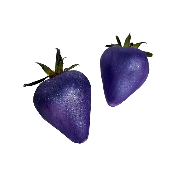 Edible Glitter Purple and lavender shimmer LUSTER DUST, dusting powder for cake decoration, Metallic Food cake paint 5 grams each Food grade 100% edible Kosher and Halal Certified.