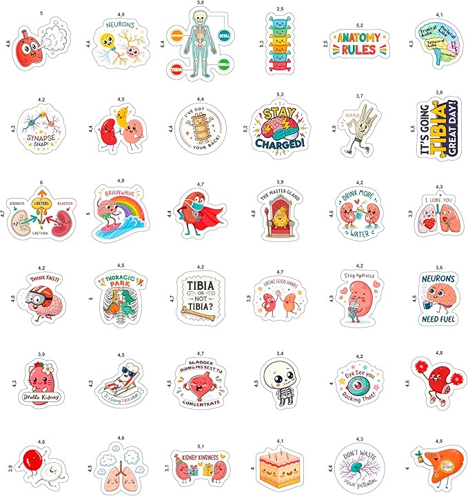 100Pcs Anatomy Stickers for Laptop, Water Bottle - Body Part Stickers Vinyl - Medical, Health Deals - Human Anatomy Gifts for Man & Woman - Sonography, Radiology, Healthcare, Nurse, Bone Decals