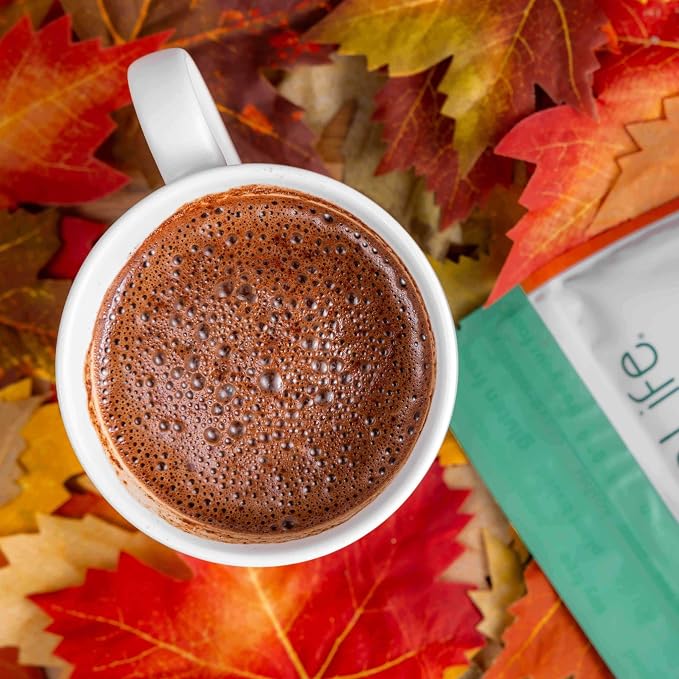 Bare Life Organic Pumpkin Spice Hot Cocoa Mix, Dairy Free Hot Cocoa Mix, Vegan Hot Chocolate Powder, Gluten Free, Kosher Pareve, Just Add Hot Water, 9.52 oz Pouch