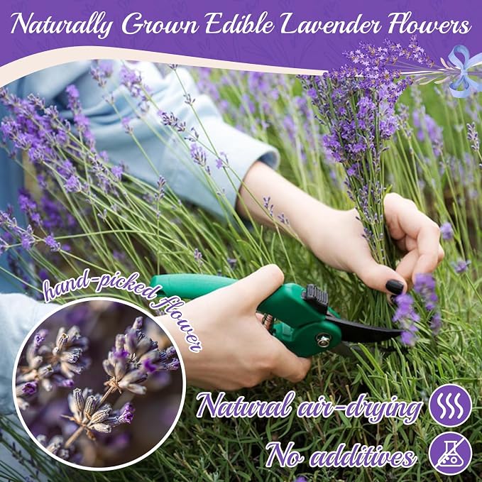 100+ Edible Lavender Sprigs for Cocktails & Dessert, 6.69'' Edible Flowers for Drinks Garnish Tea DIY Craft, Food Grade Culinary Lavender Flower Bud 1.27oz(36g)